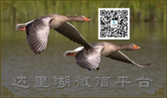 微信图片_20190428170549.jpg