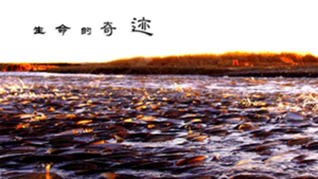 微信图片_20190507090646.jpg