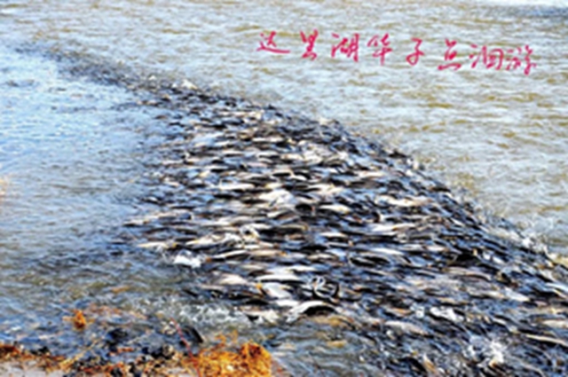 微信图片_20190503084009.jpg