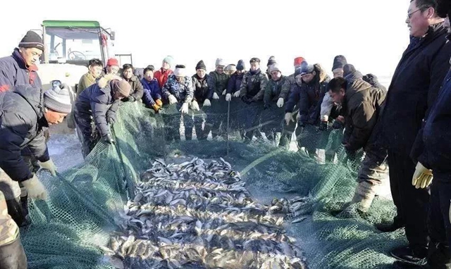 微信图片_20181226094725.jpg