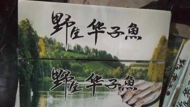 微信图片_20190115094437.jpg