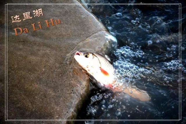 微信图片_20181128143435.jpg