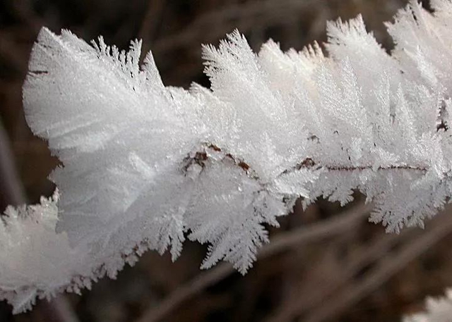 达里湖惊现奇景之冰晶雪魄