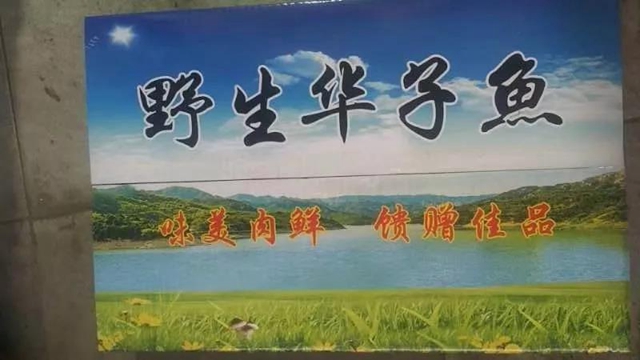 微信图片_20190115094439.jpg