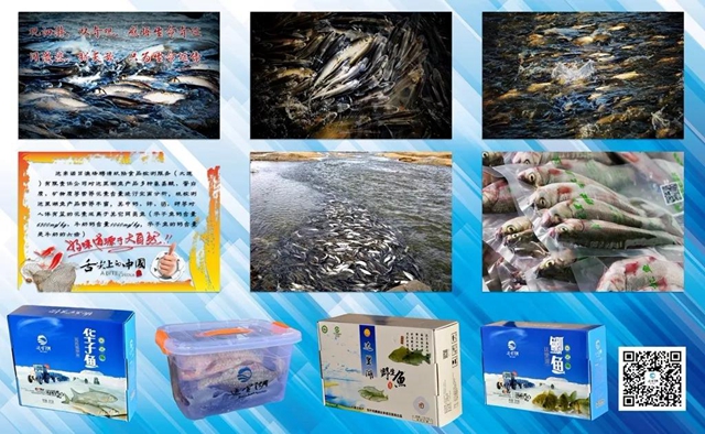 微信图片_20190102105147.jpg